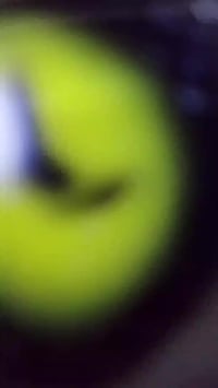 بوشه 55 • كلشات رياضي • البصرة