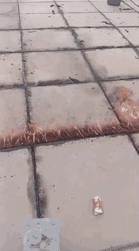 ***********
🏠 مستعدّون لخدمتكم في تنفيذ أعمال العزل بكافة أنواعها!
نقدم لكم أفضل خدمات تطبيك البيوت ودوائر الدولة بأعلى جودة وبإشراف هندسي احترافي.

✨ خدماتنا تشمل:
✔ قلع وتجديد الماستك والإيزوكام
✔ تنفيذ جميع أعمال العزل حسب المواصفات المطلوبة
✔ توفير قير – نايلون – لباد – فلين – تراب
✔ عمل نظيف، سريع، وبجودة عالية

💪 نضمن لك:
• شغل مضبوط
• مواد أصلية
• أسعار مناسبة
• فريق متخصص جاهز لأي مشروع

📲 ل
