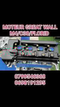 محرك جريت وول • C30 فلوريد M4 • سور الغزلان البويرة