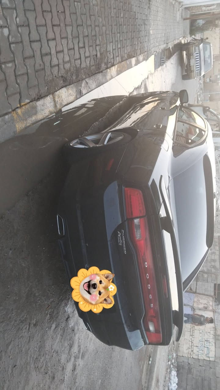 كفاله من الكص جاجر سوده 14 فول واحد عل واحد مياويه يعني فول اس ارتي قطعه صبغ جاملغ كشن تبريد تاتفيه ستريت حار كلاص حار بارد سكليتر كهرباء فتحه شفتات كشن ميموري ستيرن كهرباء تخم تاير ويل كب نجمه جديد حداديه كفاله سياره جديده سعر ***********
