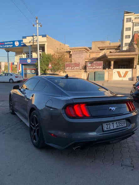كوردي عربي 

Mustang 2023

٣ پارچە و سەقف سبوغ 
(چامرلغ پێش و پشت 
بۆنیت) 

بەتانەی گرتووە

ئێرباک سوکان 

چوارپستۆن 
مەکینە نەکرایتەوە 

سەنەوی نوێیە 

٣٢ هەزار مایل چووە 

نرخ /  $ 13800

واتساب+ژمارەی ئاسیا (***********(
ژمارەی کۆرەک (***********( أربيل
