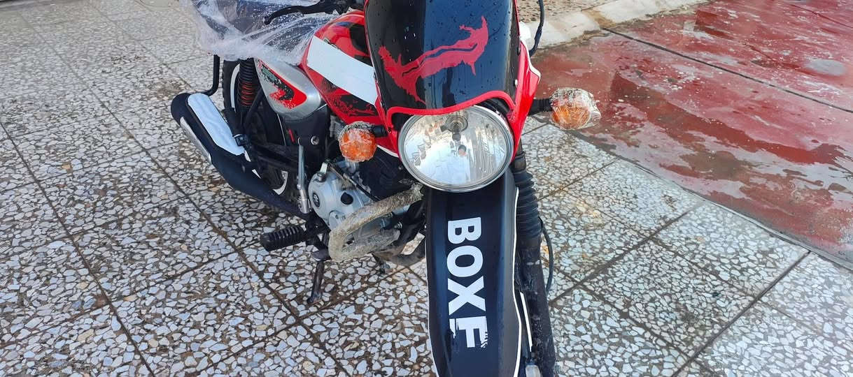 ألسلام عليڪم 
بوڪسر جبـلي مـوديل 23 نازل 2025/4 ثـانـي تبديـلت دهن ألـة بعـدة  جديد وأنحجز 
قبل 3 اشهر طلعت من الحجز وترقمت
مرقم بغداد لوحة وسنوية  نڪليزي مشروع وطني هزة جديدة تحويل ثاني يوم مكفول كفالة زيرو بمعنى الڪلمة ڪفالة عامة ماشية 3000  بعدهة شرڪة  مكان ديالى ألخالص
سعر اتصل وتدلـل 
***********
