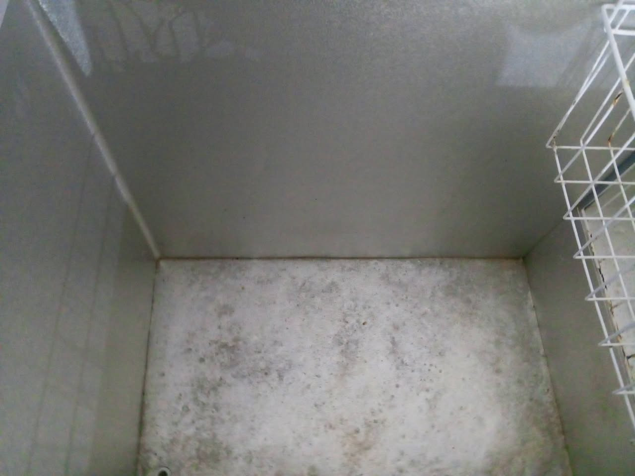 سلام عليكم مجمده للبيع تجميدها كُلش زين سعرها 250


**إذا كنت صاحب هذا الإعلان وتريد حذفه لأي سبب، رجاءا أرسل رسالة إلى الدعم الفني**