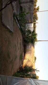 منطقة الكويت • مجاور جامع عائشة • ٣٢٠م