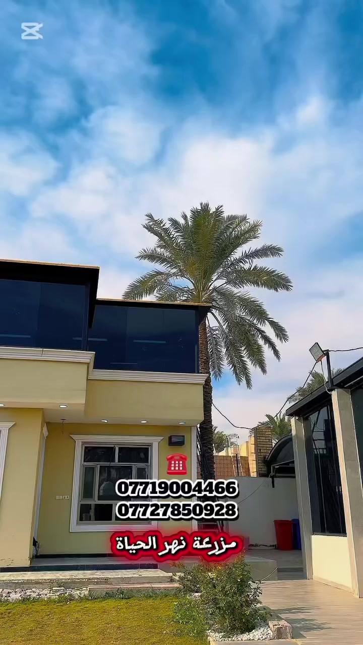 “لاتفوت حجز العيد ويانه في مزرعة نهر الحيات الشاطية 🌴
أجواء طبيعة، جلسات مرتبة، وأماكن ألعاب للأطفال 👨‍👩‍👧‍👦
مكان مثالي للراحة والونسة ويه الأهل والأصدقاء.
احجز من هسه وخلي عيدك غير! ✨”

***********
