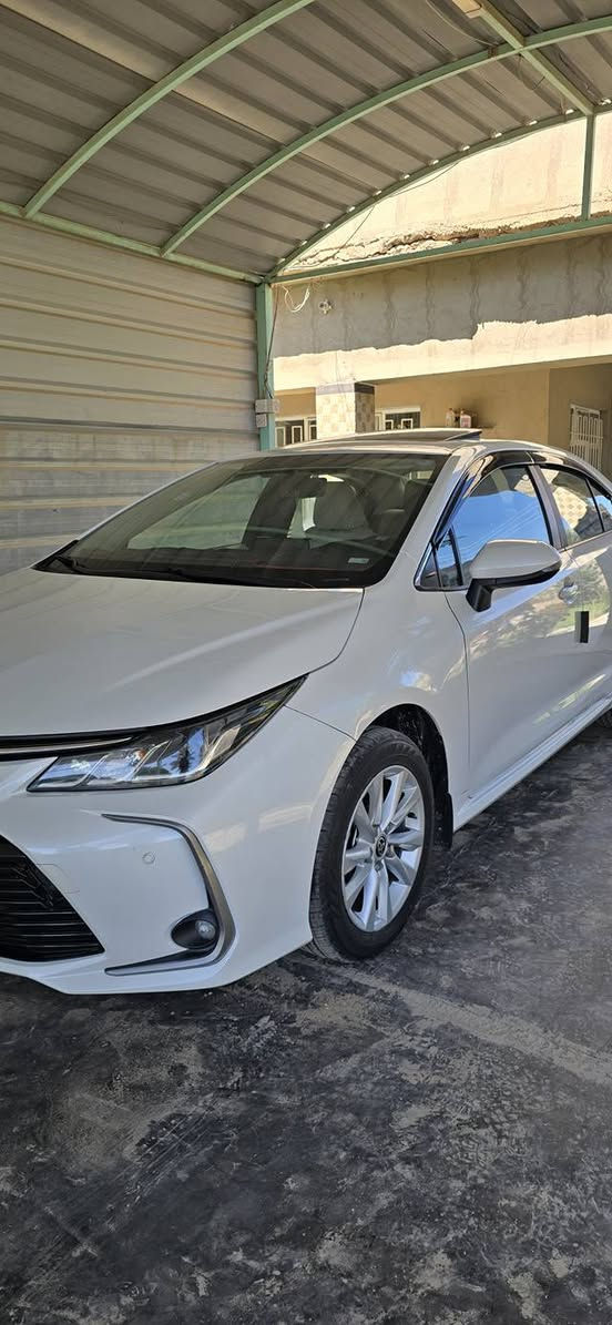 كورلا ساز بانزين فقط  موديل ٢٠٢٣ رقم اربيل السعر ١٦٨ بي مجال..مكانها..الرمادي..للاستفسار ***********
