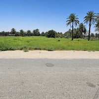 كربلاء • ٤دونم • طابو زراعي