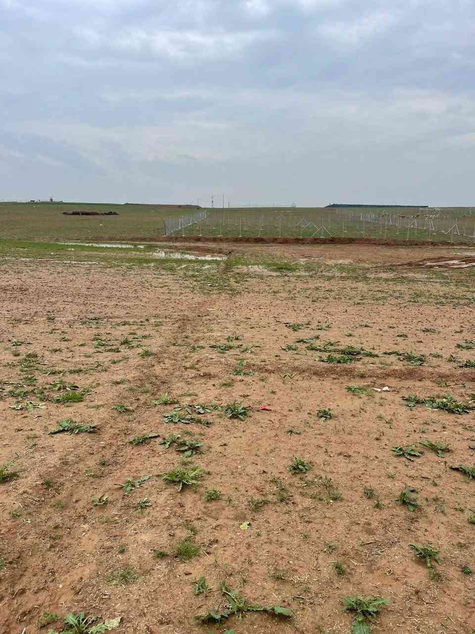 أرض للبيع مساحه ربع دونم 600 متر
وجها 15 نزال 40 شارع عرض 8 م 

موقع  نضام مزارع ماي يبعد عنها 40 متر

كهرب 200 متر سند زراعي نموذج25 

مكاتبه مع شرعي مباشر موقع الارض 

منطقه تبادل قبل فلفيل

 سعر الأرض 11 مليون 
للاستفسار اكثر 
***********
متوفر وتساب
