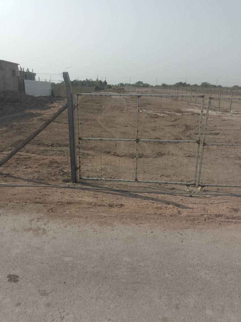 دونم زراعي السيبه شرط التحويل كافه الخدمات موجوده رقم الهاتف واتساب *********** البصرة, العراق
