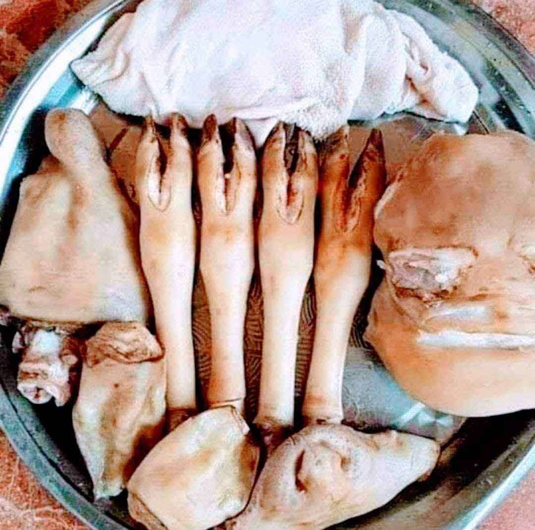سه ر و بيي شا ز بؤ نا و مه نجه ل ***********
١٠ هه زا ر سه ر و بيي كؤ لك به ر ده سته السليمانية, العراق
