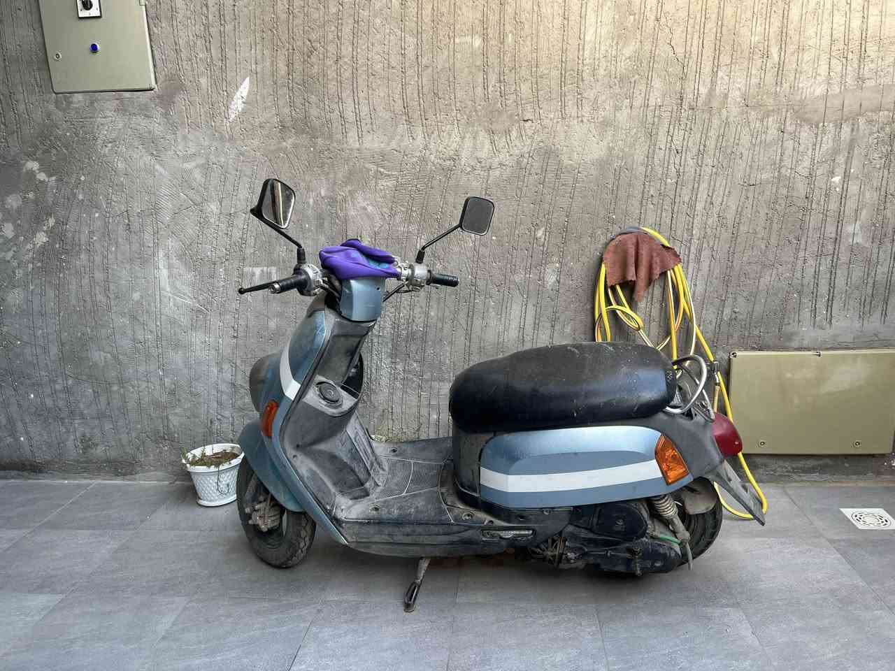 السعر ٣٠٠للبيع


**إذا كنت صاحب هذا الإعلان وتريد حذفه لأي سبب، رجاءا أرسل رسالة إلى الدعم الفني**