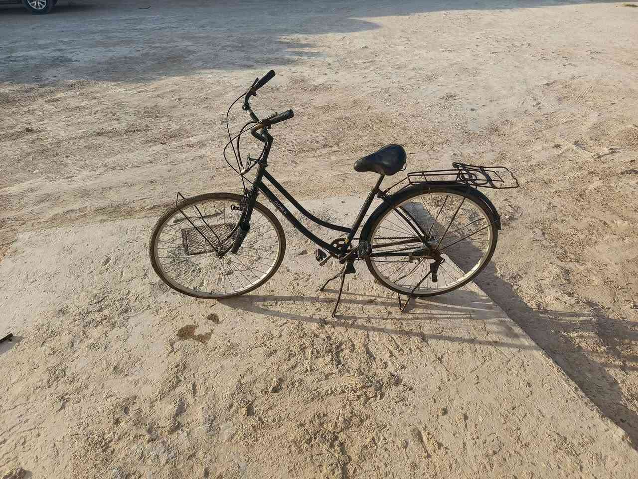 بيع بايسكل سعرها   75 ‏ هذا رقمي ‪***********‬‏
