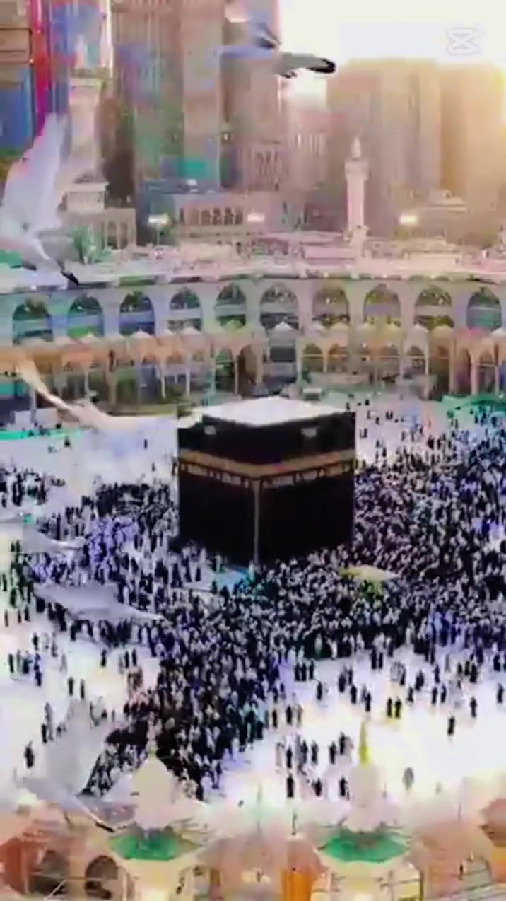 📣📣تعلن شركة أرض المختار📣📣
🕋🕋🕋 
♦️عن فتح باب التسجيل لرحلات العمرة القادمة مع توفير ♦️خيارات مرنة تناسب الجميع براً وجواً
♦️وبأعلى مستويات الخدمة.
♦️ مميزات رحلاتنا:
♦️ تنوع السفر: رحلات مستمرة براً عبر حافلاتنا الحديثة، ♦️ورحلات جواً سريعة ومريحة.
♦️ عروض خاصة: أسعار استثنائية وحصرية للمتعهدين ♦️وأصحاب المجاميع.
♦️ سكن القرب: إقامة في فنادق متميزة قريبة جداً من ♦️الحرمين الشريفين.
♦️الضيافة: توزيع وجبات طعام وتوزيع هدايا خاصة لكل ♦️معتمر أثناء الطريق 
♦️انطلاق الرحلة 10 / 6 
➖➖➖➖ بأفضل الخدمات والأسعار 
➖ برنامج محبس الجن 425 دولار 
➖ برنامج شارع ابراهيم الخليل 450 دولار 
➖ برنامج اجياد 425 دولار 
➖ برنامج طيران 550 دولار  
➖ برنامج 15 يوم 600 دولار 
♦️اختار برنامج اليناسبك وعليه التنفيذ 
♦️ مع كافة الجولات الدينية 
♦️ مع الطعام فوفيه 
♦️شركة أرض المختار ترحب بكم 
♦️خدمتكم شرف لنا وطريقكم إلى النور. 🌙✨
♦️الاتصال والاستفسار *********** 
♦️ بادارة الشيخ ياسين محمد أبو خمرة 
♦️ وبادارة الحاج علي خليل ملأ ابراهيم البياتي
♦️ وبادارة الحاج أنو أبو وائل المولى
♦️ العنوان صلاح الدين كركوك ديالى
