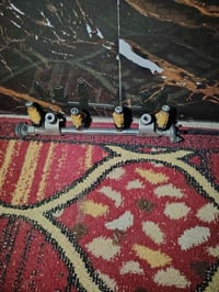 شباب نوزلات هنه وشجرتهن مال انتره مقدس مال حاويه شرط اليريدهن هاذ رقمي...