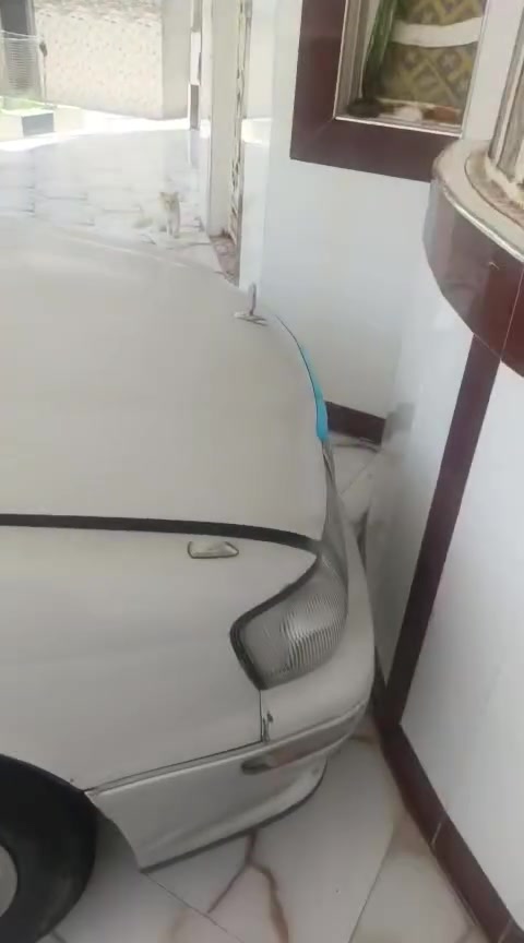 سلام عليكم بطه منفصل موديل 2000 رقم بصره تحويل ثاني يوم مكفوله من ضربه وصبغ وتبديل ومن الكص والنغل
مكينه كير كفاله تبريد ثلج سياره بعدهي بلاد مكفوله من كلشي السعر 65 وبيعه مجال قيل العنوان بصره قضاء المدينه اتصل عل رقم ***********
سلام عليكم بطه منفصل موديل 2000 رقم بصره تحويل ثاني يوم مكفوله من ضربه وصبغ وتبديل ومن الكص والنغل
