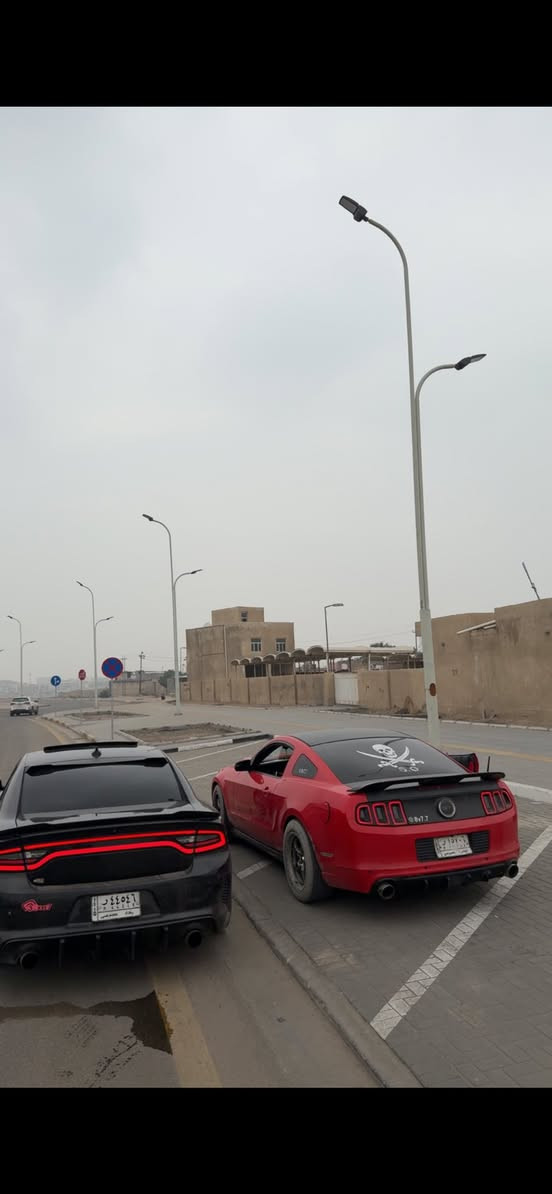 موستنك 2014 نص مواصفات
بيها صفحة العبري صبغ فقط ولبنيد محدث بنيدها القديم شرط الصبغ بدون تكم طخة تكتك موجود حتى دعامية خلفية مابيها صبغ حادثها داخلة جاملغ خلفي جهة العبري وهنا بلعراق صاير بيها طخة جاملغ امامي ومصبوغ وباب العبري والجاملغ الخلفي راجع بلاد مامحمل معجون سيارة كسر كارتون كلش نضيفة
1 محرك وكير بلادي لامفتوح ولاتبخير لاتنقيص ولامبدل
2حجر بيئة بلادي 
3 داخل جلد 
4 بوابات ريمونت شوكت مايعجبك تفتح الصوت وتسدة 
5 عليها كماليات واضافات مرتبة
6  رقم بصرة الدولي تحويل ثاني يوم باقي ع استلام لوحات سنوية لل30 تنتهي 
7 داخل وخارج وكشر نضيف لغد شاصي حدادة امامي خلفي اكسل كلة بشرط  
8 عليها ويلد اصلي +تخم تاير جديد
السعر 105 وقابل للتفاوض
مكاني بصرة الطويسه ***********
