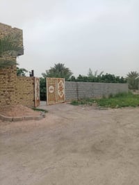 بني ساله • ٥٠٠م • سند 25