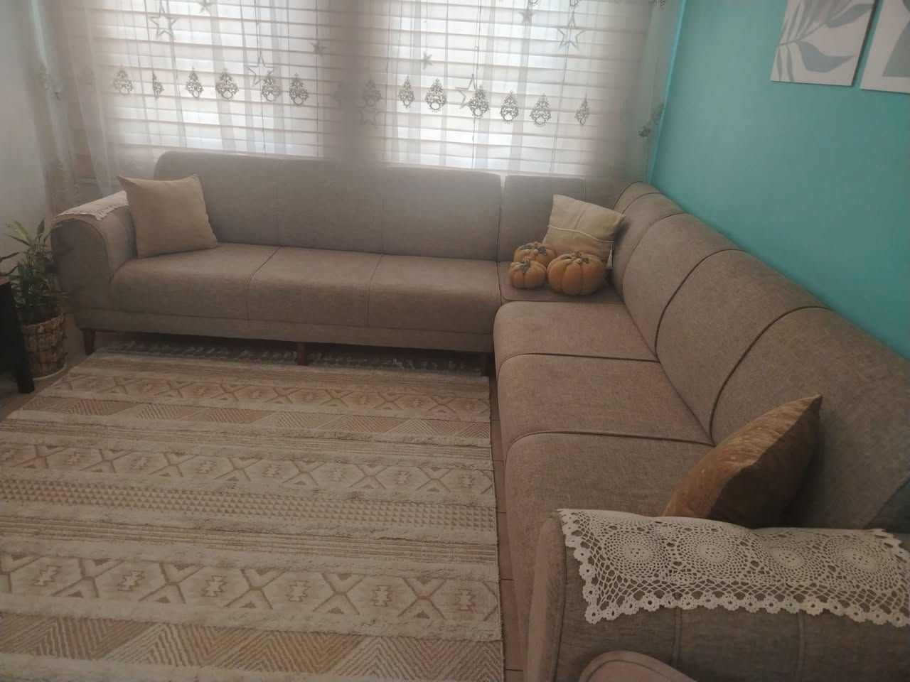 للبيع مع البرده والزيبرا


**إذا كنت صاحب هذا الإعلان وتريد حذفه لأي سبب، رجاءا أرسل رسالة إلى الدعم الفني**