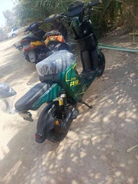 الحلال للبيع كفاله شتريناهامن الوكاله صايرله يومين السعر500 الرقم07742...