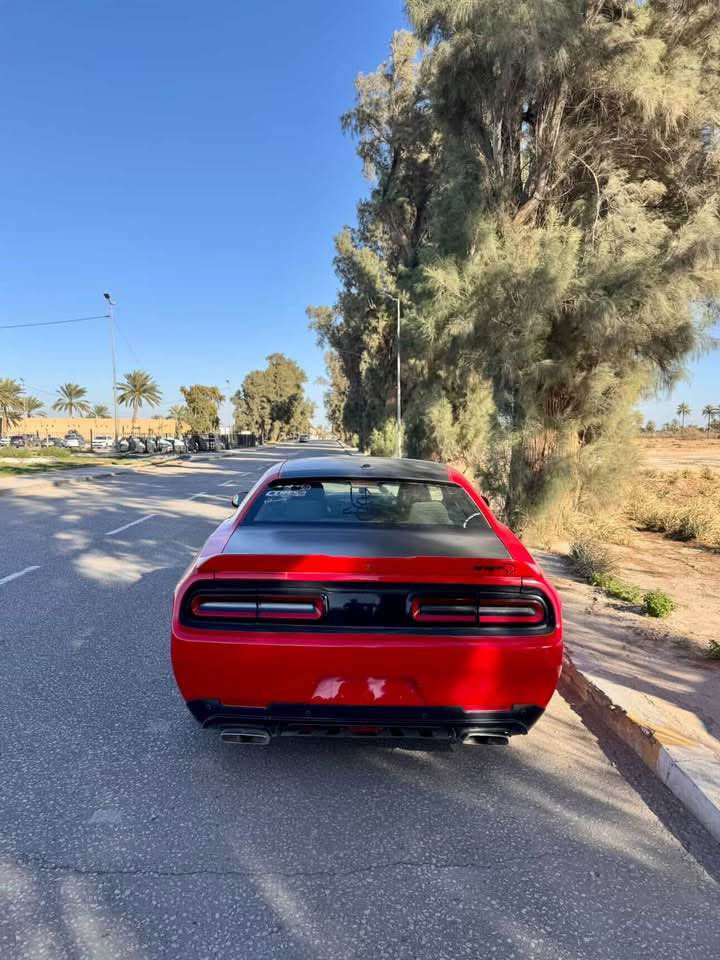 جالنجر 2021 Rt

ماشيه58 الف

حادث سرقه بابين وقبق الجنطه 

حته لا اتعبك ولا اتعبني ابيعلك حزام بس هيه مو حزام

محرك كير كفاله

سياره متعوب عليها

وعليها ادامه كامله

#الاضافات

كزوز كورسا

الداخل كاربون فايبر كامل

برمجه تفريغ

شاشه وعدادات srt

وياله خلفيه فيراده اماميه فيراري

تهبيط حلو 

عليها سستم سماعات بيتس 10سماعه

دفيوزر سكوبات شفقه …

رقم السيارة بغداد مشروع وطني هزه جديده باسمي مداور ثاني يوم

*********** بغداد, العراق
