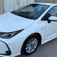 كورلا هايبرد • ٢٠٢٥ • رقم بغداد