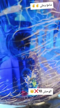 نجف عباسية • موديل 10 • مكينة جديدة