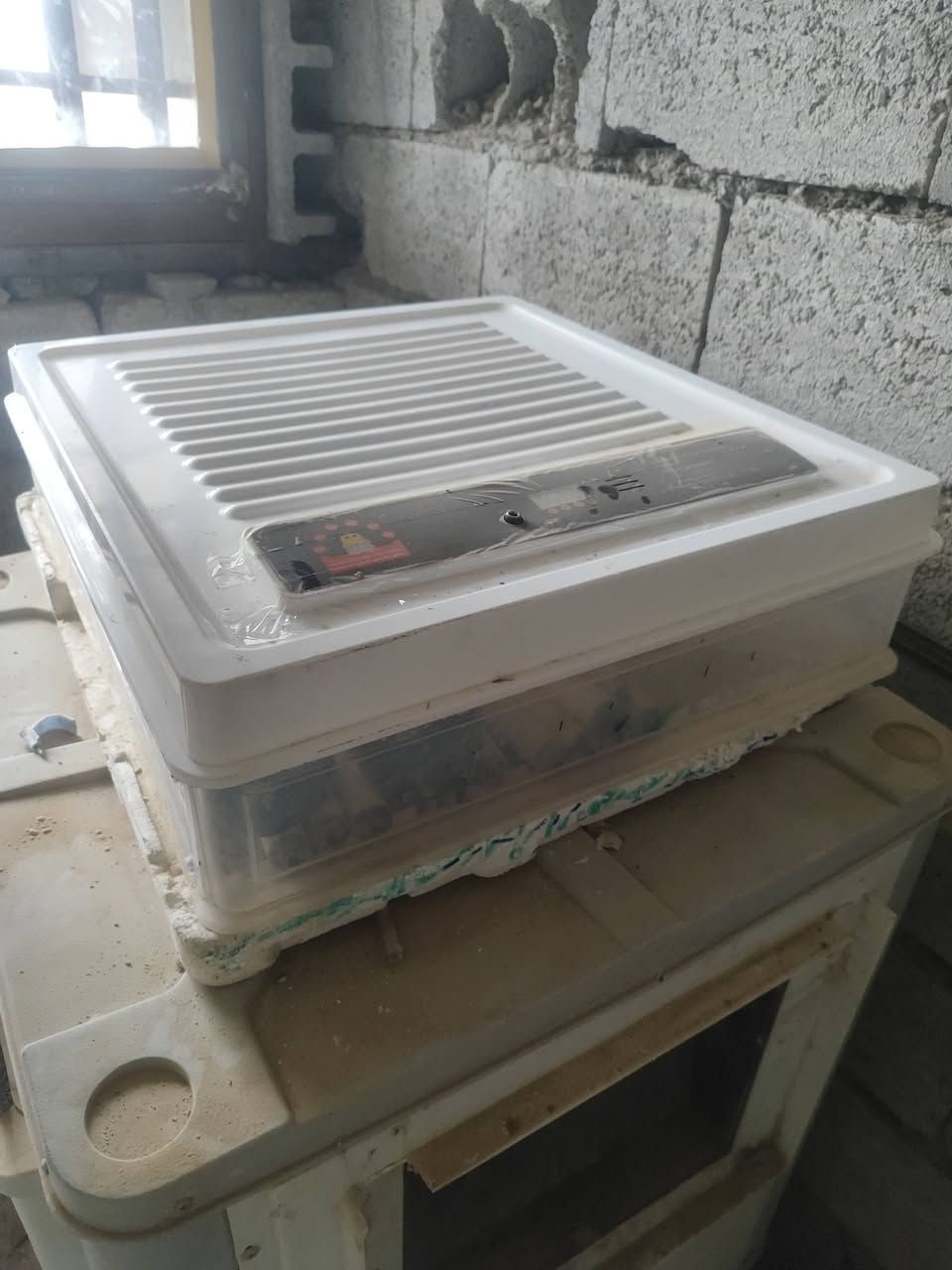 السلام عليكم متاح مبرده وفقاسه تاخذ 120 بيضه سعر الفقاسه 75 وسعر المبرده 200 الف والشراي يتفضل خاص او يتصل
***********
