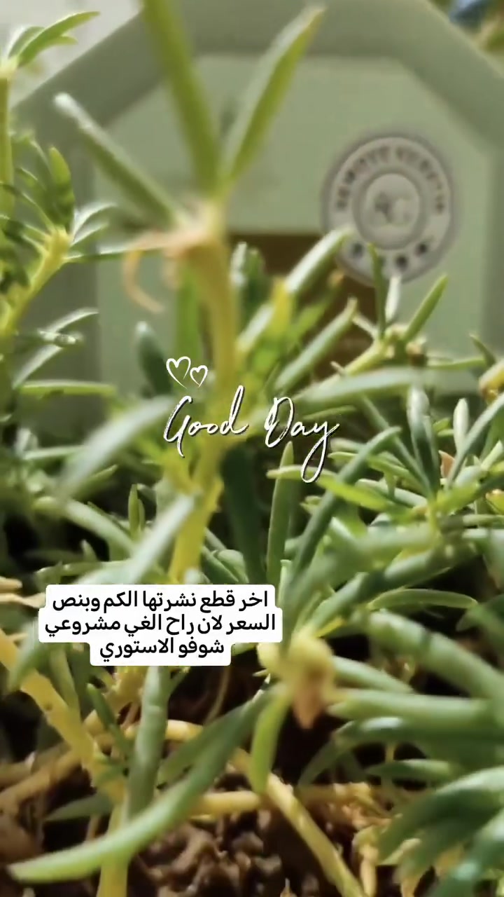 مقشر جسم يزيل الجلد الميت
السعر ٦الف
الحجم الكبير
تصفيه بضاعه #اكسبلور #بغداد_العراق #الكل #الجميع #متابعيني #اشاره


**إذا كنت صاحب هذا الإعلان وتريد حذفه لأي سبب، رجاءا أرسل رسالة إلى الدعم الفني**