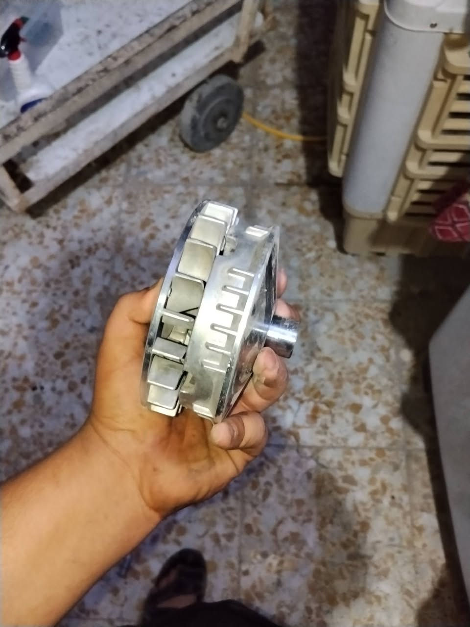 سلام عليكم غراض تفصيخ مال سكنس فحل نوزل كلمن وسعره ***********
