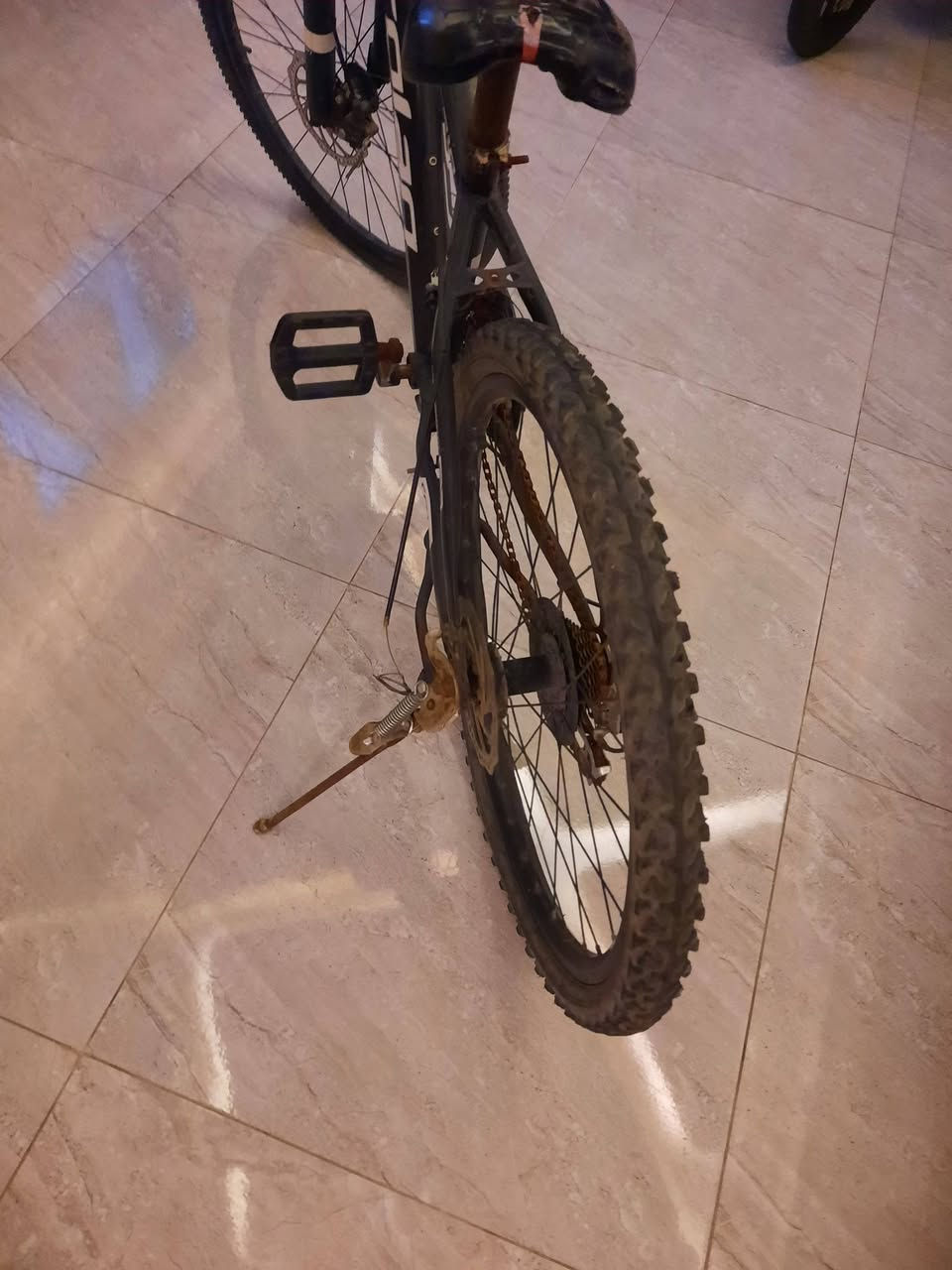 للبيع السعر 75


**إذا كنت صاحب هذا الإعلان وتريد حذفه لأي سبب، رجاءا أرسل رسالة إلى الدعم الفني**