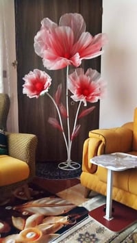 ٢متر • توصيل