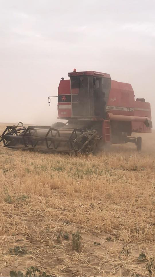 للبيع حاصوده الفين ٣ كله علا وضع الشركه سعره ٢٢ وبه مجال مليون اي استفسار اتصل ***********
