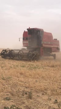 للبيع حاصوده الفين ٣ كله علا وضع الشركه سعره ٢٢ وبه مجال مليون اي استف...