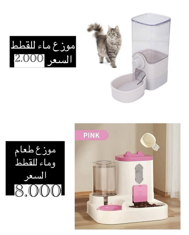 متوفر توصيل


**إذا كنت صاحب هذا الإعلان وتريد حذفه لأي سبب، رجاءا أرسل رسالة إلى الدعم الفني**