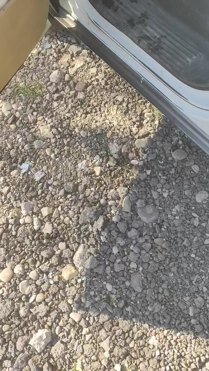 السلام عليكم
ستاركس 2011 مفتوح محول مسكر
مصفرة خط وبحث رقم انكليزي
وبيه صبغ بالجاملغ الامامي جه السايق موضح بالفيديو 
وسيارة بيه سونار
للاستفسار عن السعر واتساب او اتصال 
***********
