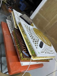 يتوفر بنكات سقف ثانوي بسعر 30 الف الواحدة  للأستفسار الأتصال على الرقم...