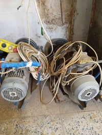 ونج • ٢ قطع • أصلي إيطالي