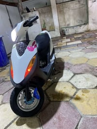 سكنس جبلي • بوشة 55 • قفاز