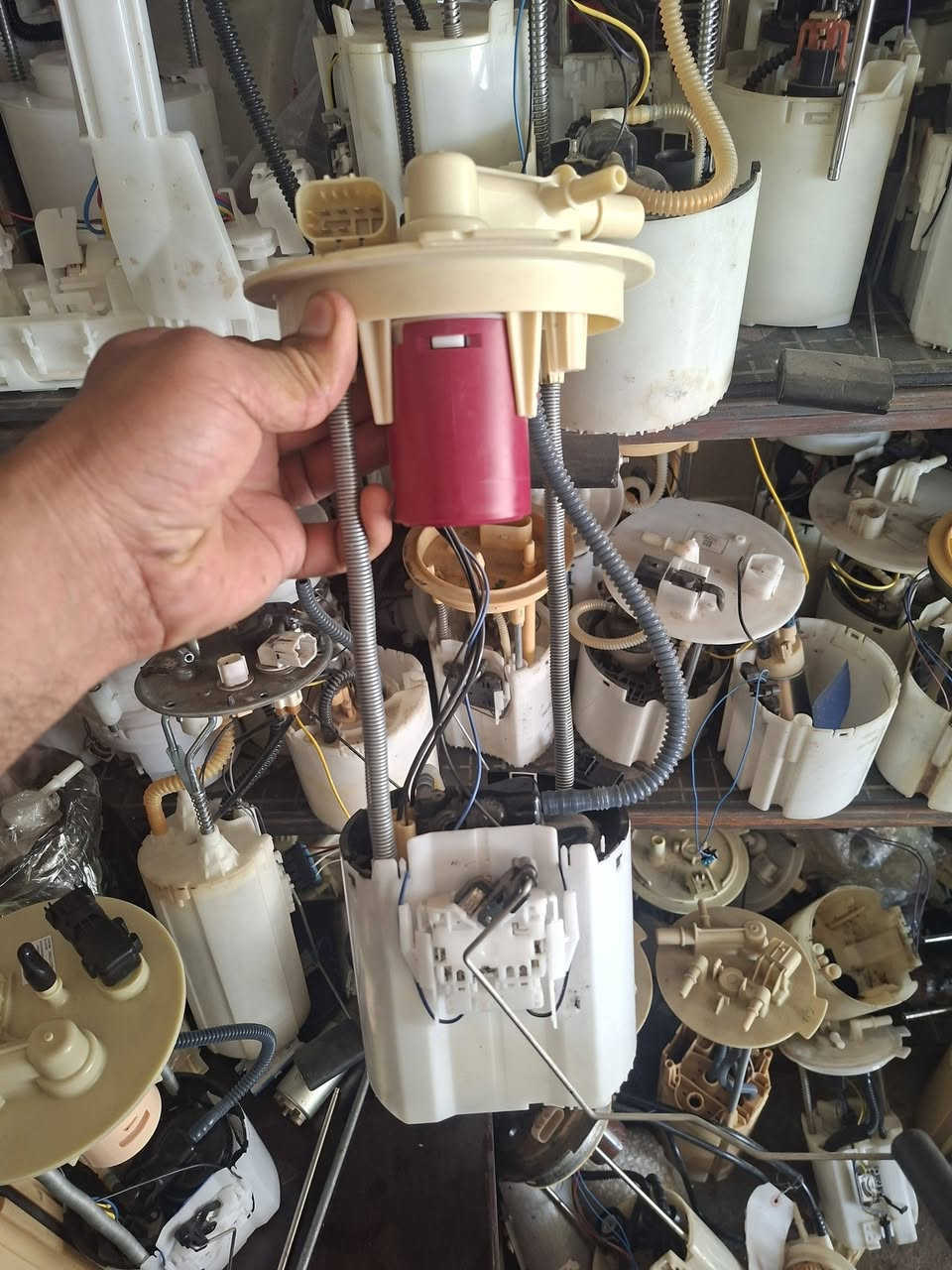قواعد فيت بم عبوة كامله سفانا 2021_2026 اصلي وكاله ***********
