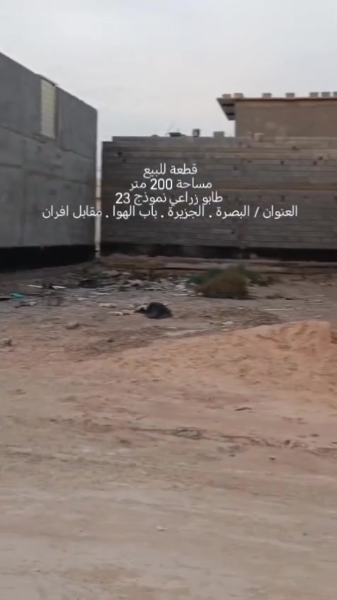 قطعة للبيع 
مساحة 200 متر 
طابو زراعي نموذج 23
العنوان / البصرة . الجزيرة . باب الهوا . مقابل افران محمد
السعر / 40 مليون وبي مجال قليل
الشراي احولك الراعيها مباشر
واتساب فقط /***********
