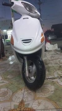 فراشة • نثية • شغالة