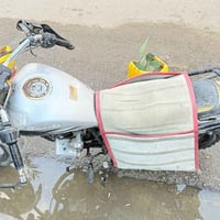 هوشه • أوراق اصلية • تحتاج كهربا