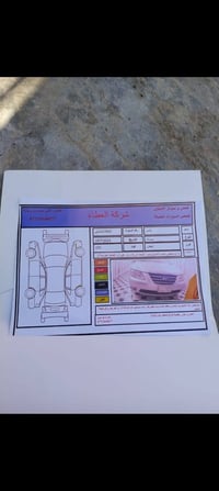 سوناتا • ٢٠٠٩ • وارد أمريكي