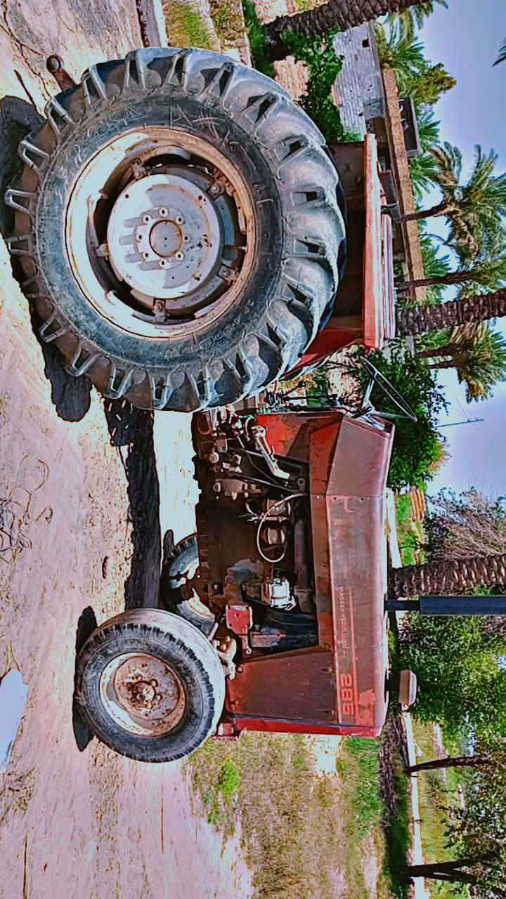 السلام عليك فورگسن برازيلي للبيع استفسار خاص او على الرقم ***********
