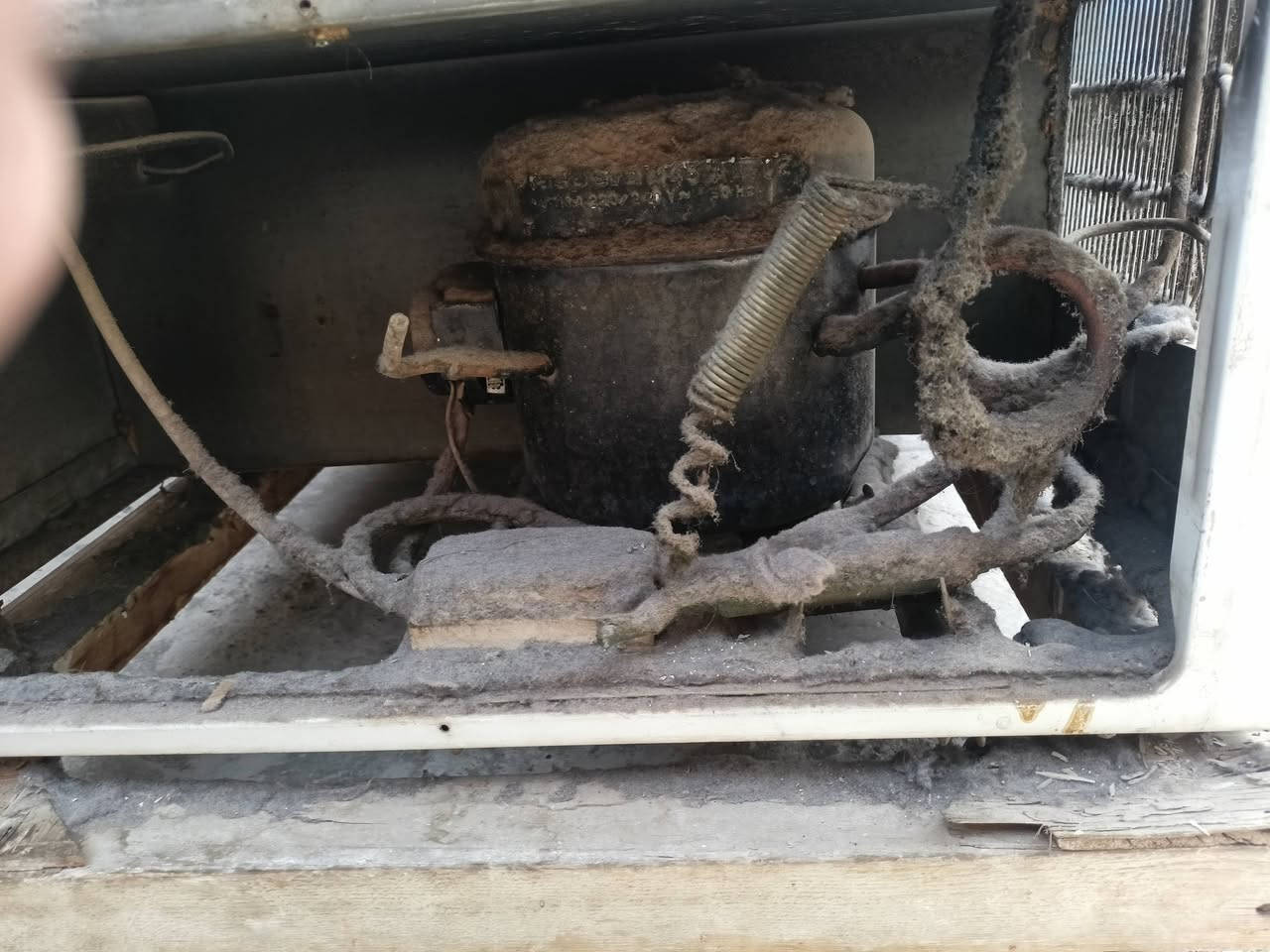 مجمده قديمة شغالة تبرد خفيف تحتاج بس غاز ***********
