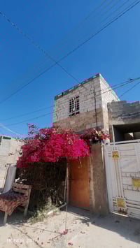 ١٠٠م • كربلاء • طابو صرف