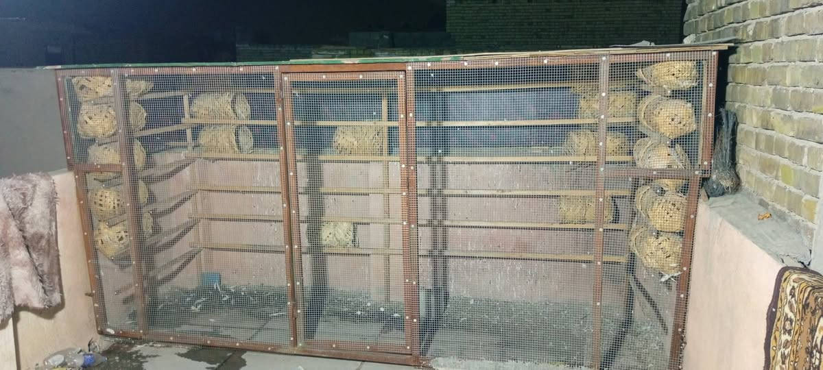 مره خصت مدير الكروب المحترم 
واجهيه العرض 3مترات ونص النزال متر ونص 
تفصال درجه اولى كلهاا ابيعهاا هيه وحلاتهاا والتاريش لله شاهد كلفتني ب600الف وهسه عارضه 250كلهاا سكف بلايود بلوك درجه اولى ترايش درجه اولى سيم بيارسي درجه اولى عارضهه ب250حديد درجه اولى بمعناا الكلام 
وهاذه رقمي *********** مكاني زعفرانيه دور الصحه الثانية
