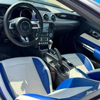 موستانغ ايكوبوست • ٢٠١٩ • صدامات