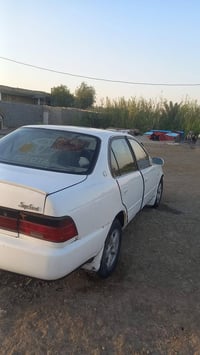 كورلا • رقم بصره • مشروع وطني