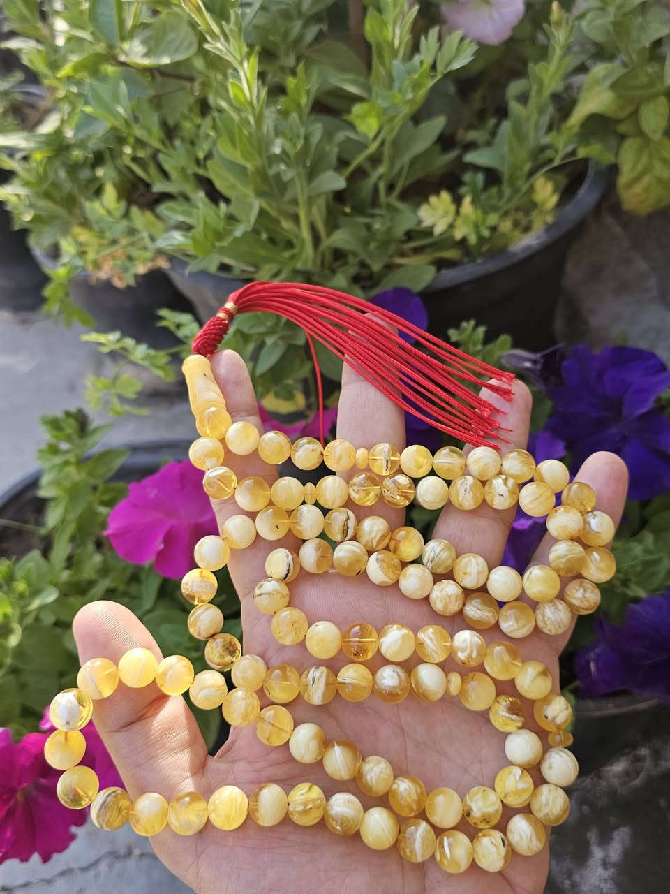 كهرب كلنگرادي حر طبيعي فرز ( كهرب أهل الدار)  ألكويت مشروط مكفول👑 گيمر بعسل مطوگ ملط
كهرب كلنگرادي حر طبيعي فرز ( كهرب أهل الدار)  ألكويت مشروط مكفول👑 گيمر بعسل مطوگ ملطخ 👑🥛
ألوزن ٦٨ غرام ٩٩خرزة بحجم ١٠،٥ ملم خشنة طويلة كشخة وتحفة ملطخة مطوگة محمول راقي وكركوشة كويتي👑 
ألسعر  جملة الجملة تصفية و عرض شهر رمضان الكريم ألسعر  ٣٧٥ ألف دينار قفل تسوة ضعف هالسعر 🥛🍯🌙

توصيل مجاني لكل العراق🥛🍯***********
